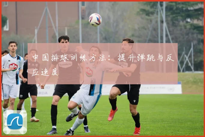 中国排球训练方法:提升弹跳与反应速度